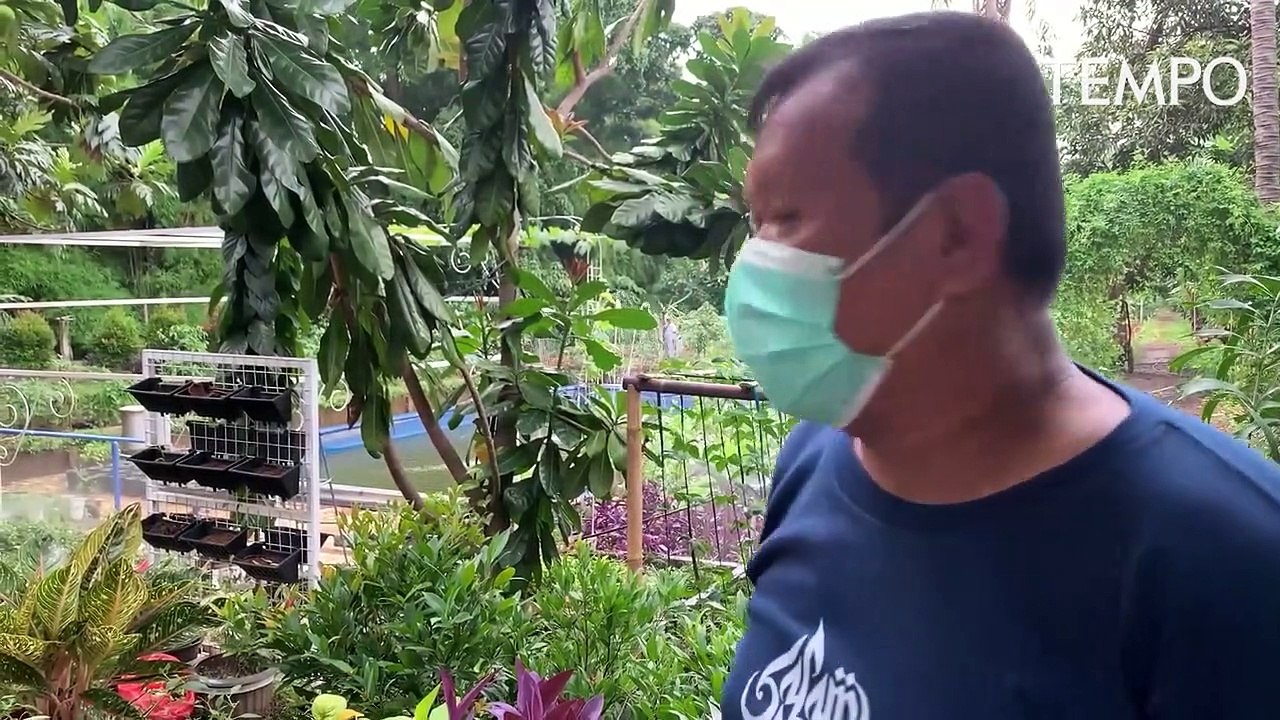 Cerita Warga Pondok Labu Yang Sulap Lahan TNI Jadi Ruang Terbuka Hijau