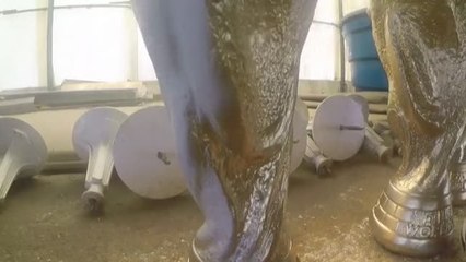 Un artista brasileño crea miles de réplicas de la Copa del Mundo