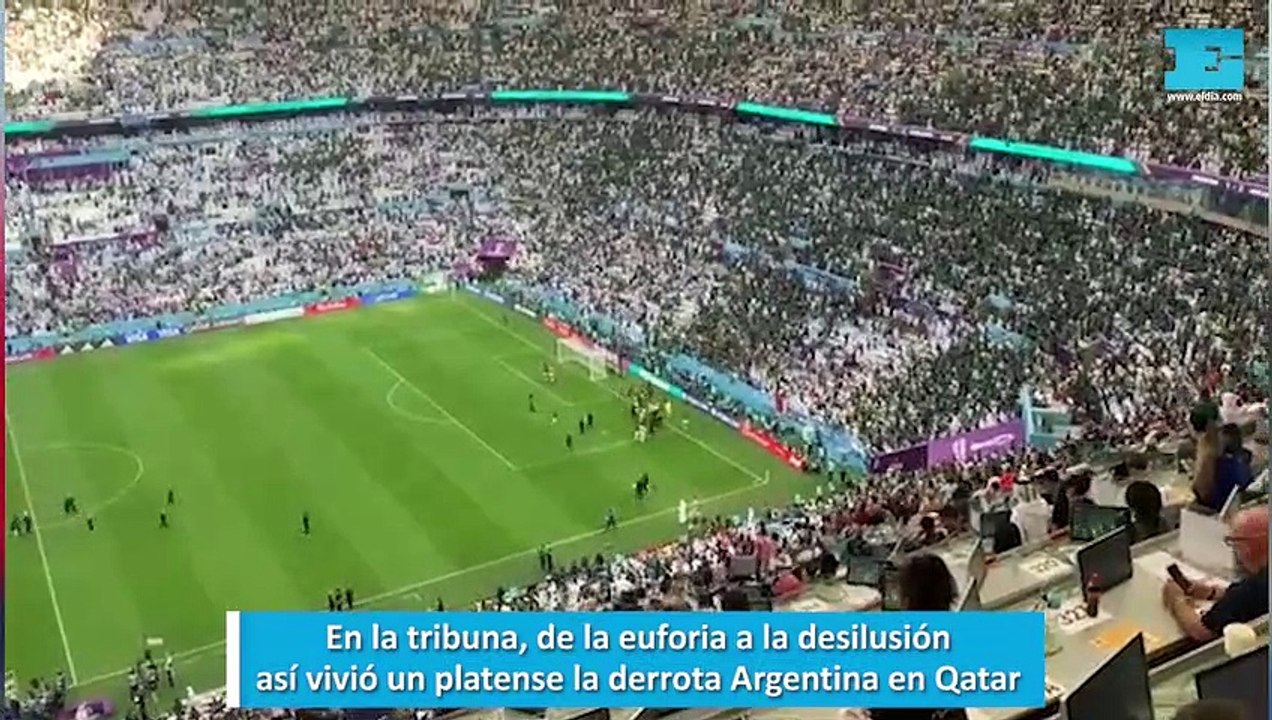 En la tribuna, de la euforia a la desilusión, así vivió un platense la derrota Argentina en Qatar