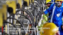 Harga LPG Non-subsidi Naik, Pertamina: Penyesuaian Terakhir 2017