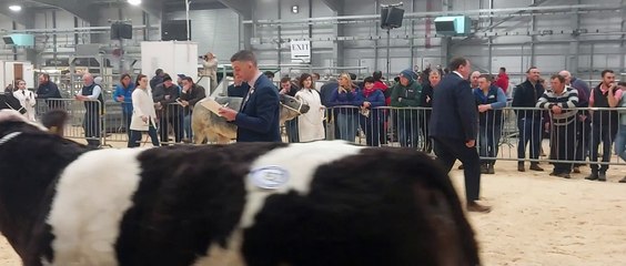 2022 Royal Ulster Beef & Lamb Championships