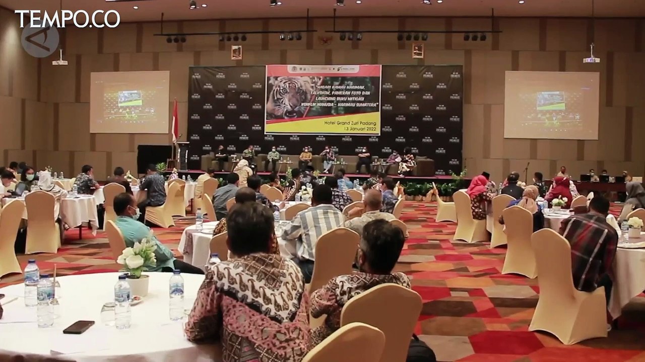 Sering Terjadi Konflik Manusia dan Harimau, Harus Ada Evaluasi