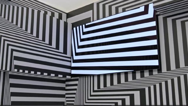 Fernseh-Kunst: Deutscher Künstler tarnt OLED-TV in einem Raum voller Zebramuster