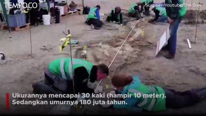 Fosil Naga Laut Ditemukan di Waduk Inggris, Usianya 180 Juta Tahun