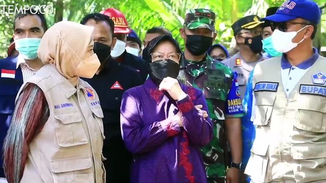 Pengamat Sebut Mensos Risma Berpeluang Jadi Kepala Otorita IKN