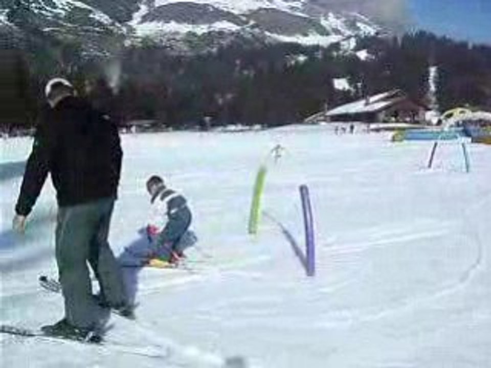 toujours au jardin des neiges