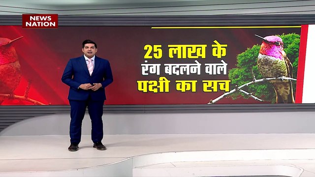 Lie Detector Test: देखिए....रंगीन परिंदे की पूरी पड़ताल | Colour Changing Bird | News Nation