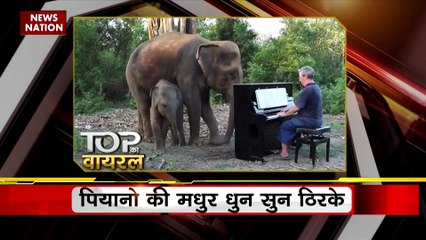 Viral Videos : देखिए सोशल मीडिया पर वायरल वीडियो का Countdown | Top viral video |