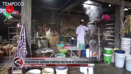 Pemerintah Siapkan Strategi Intervensi Harga dan Stok Kacang Kedelai
