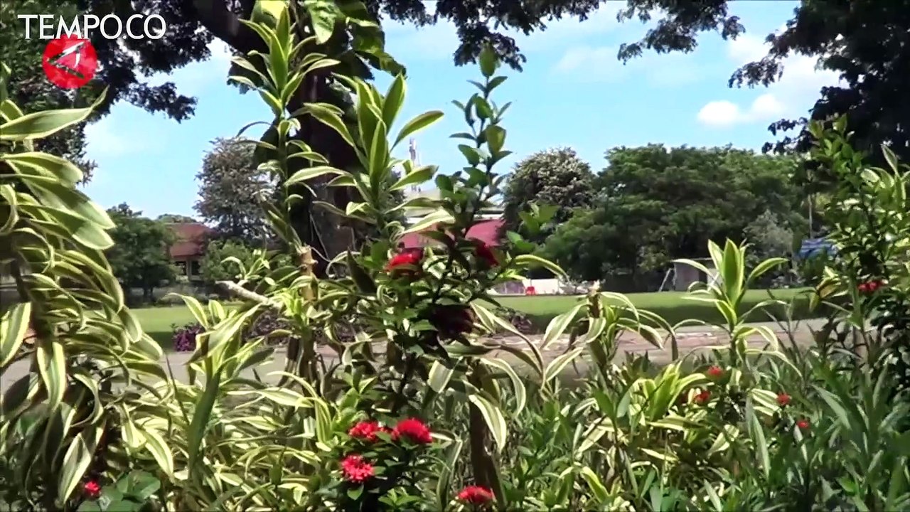 Sepinya Suasana Bandara Ngurah Rai Bali Saat Perayaan Nyepi