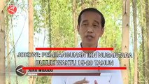 Jokowi: Pembangunan IKN Nusantara Butuh Waktu 15-20 Tahun