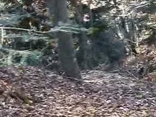 QUAD EXTREM DU LIGNON 2008