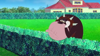 हिंदी Oggy and the Cockroaches - The Bathtub Race (S04E36) - Hindi Cartoons for Kids