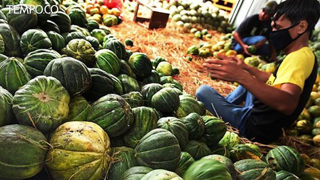 Sering Dijadikan Menu Takjil, Ini Manfaat Blewah untuk Kesehatan Tubuh