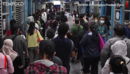 Revitalisasi 46 Halte Bus, Transjakarta Gelontorkan Rp 600 Miliar dari Kas Sendiri