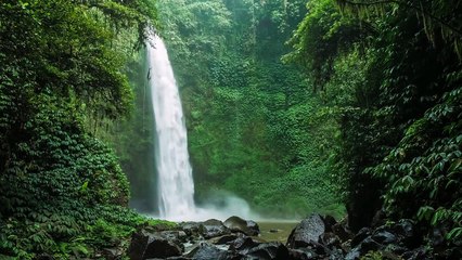 Relaxation Music: Full Nature Voice Brain Therapy, Sleep Relaxation, Insomnia, Difficulty Focusing and Stress