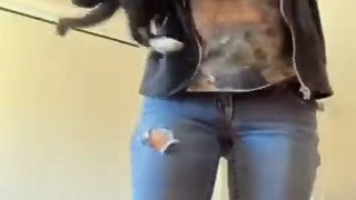 Funniest Videos 2022  Funny Cats  and Dogs  Part 34