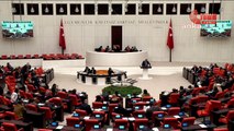 TBMM Genel Kurulu’nda, kadına yönelik şiddetin araştırılması önerisi AKP ve MHP tarafından reddedildi