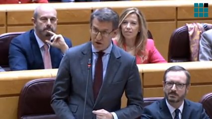 Feijóo a Sánchez: "Usted preside un Gobierno en llamas"