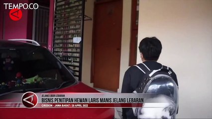 Laris Manisnya Bisnis Penitipan Hewan Menjelang Lebaran 2022