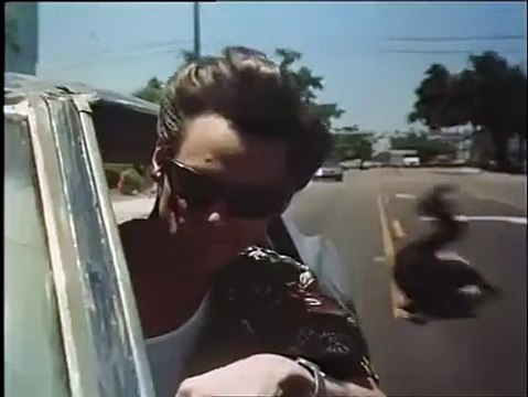 Ace Ventura, détective chiens et chats Bande-annonce (IT)