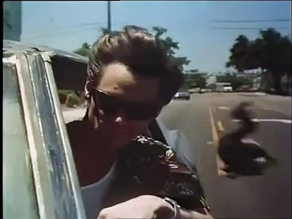 Ace Ventura, détective chiens et chats Bande-annonce (IT)