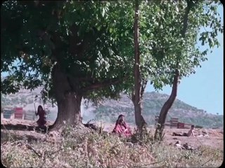 Walnut Tree Bande-annonce (EN)