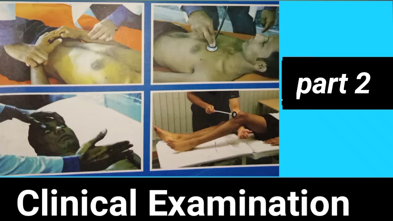 Clinical Examination