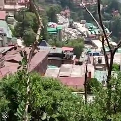 Funny Animal Compilaton