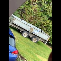 Funniest Cats Expression Video Will Make You Laugh