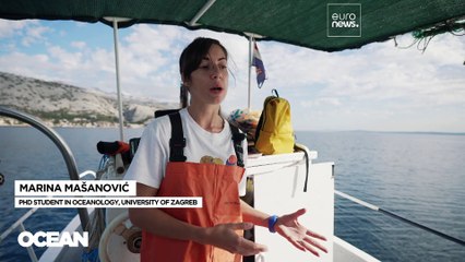 Pesca sustentável do lagostim. Uma prática onde o tamanho importa