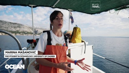 ‘Guardianes del mar’: cómo los pescadores pueden ganar más pescando menos