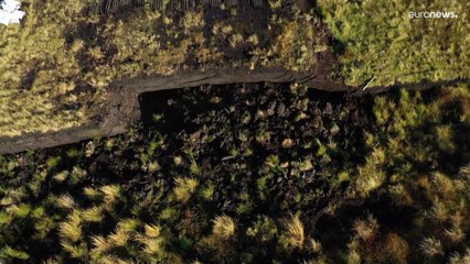 Turf wars: High energy bills may thwart Irish government's plans to partially ban peat cutting