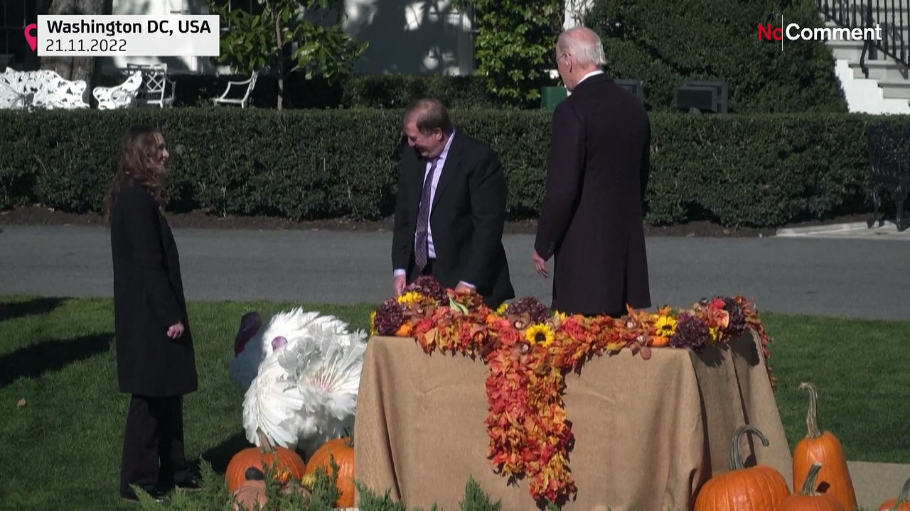 Thanksgiving: Biden begnadigt 50-Pfund-Truthähne Chocolate und Chip