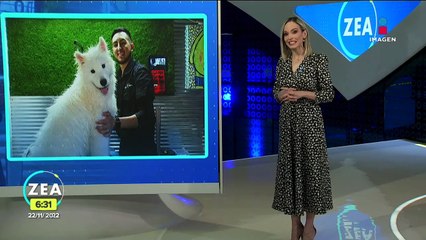 Dejó México por la inseguridad y ahora triunfa como peluquero de mascotas en Estados Unidos