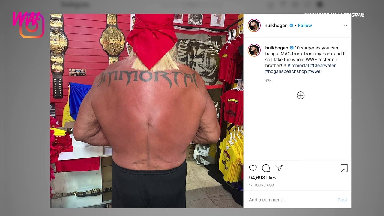 Hulk Hogan Shares Photo of Scars From 10 Back Surgeries