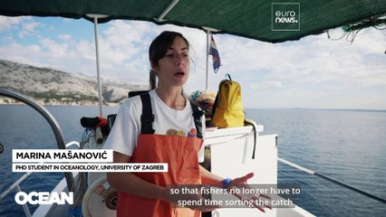 Catch less, earn more: the reinvention of Mediterranean fishing