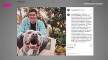 Henry Golding’s Foster Dog Attacks Another Dog at Park: Report
