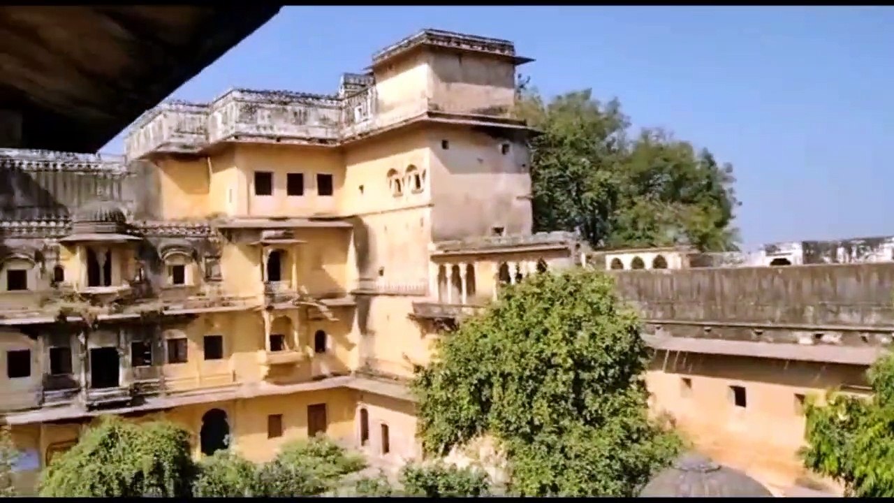 Panther in city:  महलों वाले पैंथर की छतों पर दस्तक , डरा रही आवाजें