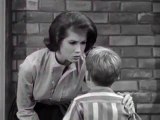 Dick Van Dyke S02E11 (A Bird in the Head Hurts)