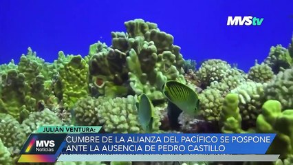 Alianza del pacifico - Entrevista con Julián Ventura, embajador del servicio exterior mexicano- MVS Noticias 22 nov 2022