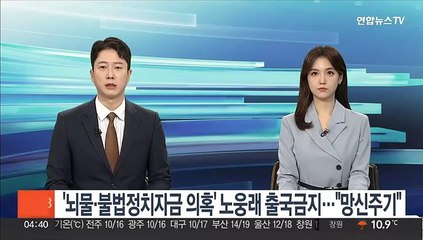 '뇌물·불법정치자금 의혹' 노웅래 출국금지…"망신주기"