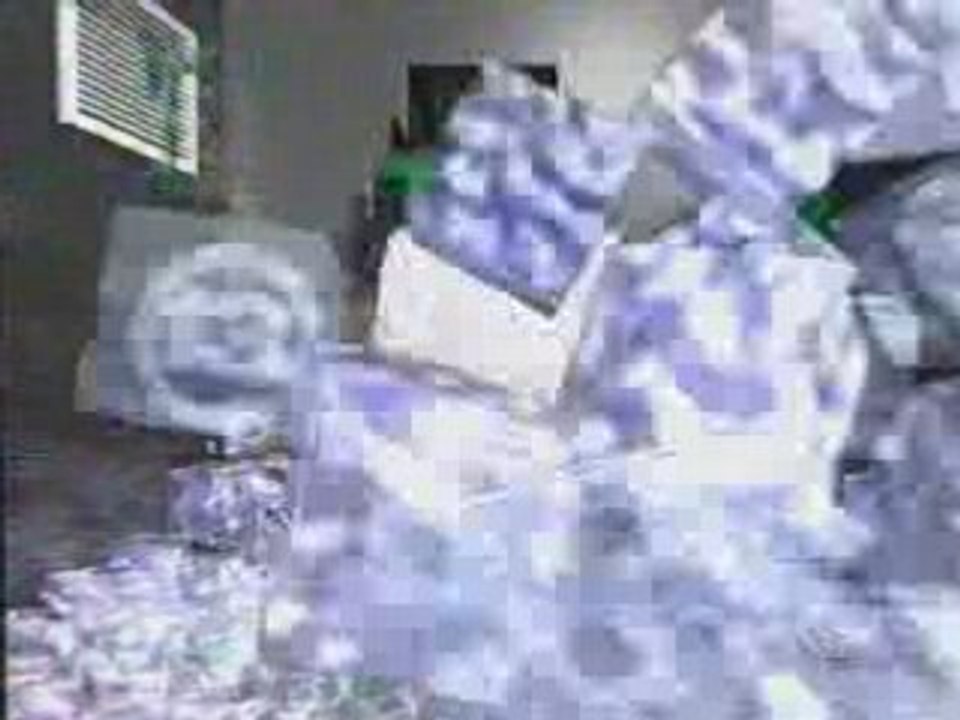KTRK Zindler Rat & Roach Report 2000 (Slime/Ice Machine)