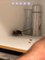 Husband Fails to Capture Mouse Hiding Inside Cabinet