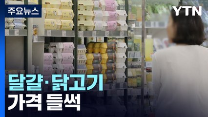 AI 확산에 달걀·닭고기 가격 들썩..."수급 안정적" / YTN