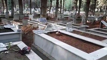 Manisa'da Mezar Taşlarına Çirkin Saldırı!