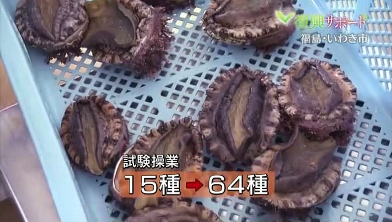 復興サポート 放射能汚染から漁業再生～福島・いわき市　 20150719 100454