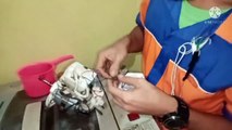 NOL RUPIAH....kipas mati total sembuh kembali