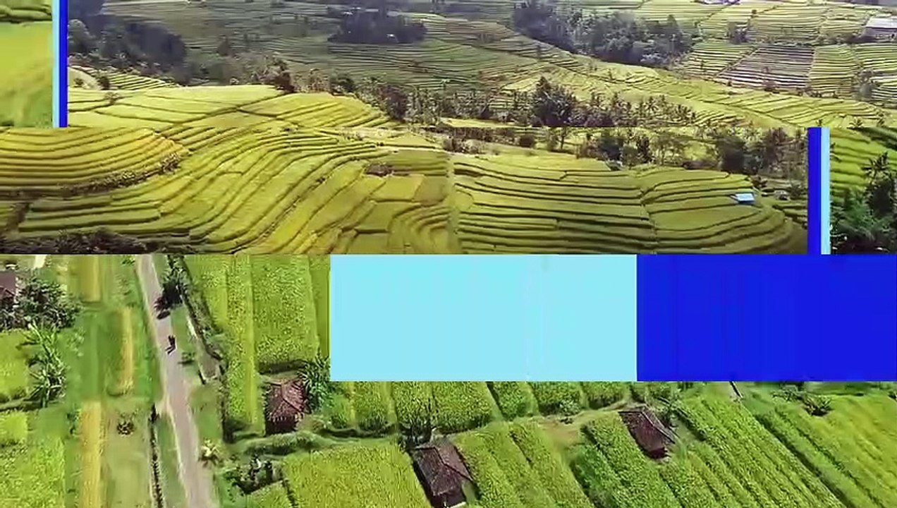 Jatiluwih Bali – Best View of Terraced Rice Fields