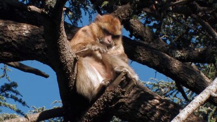 Water Life - Protected Water